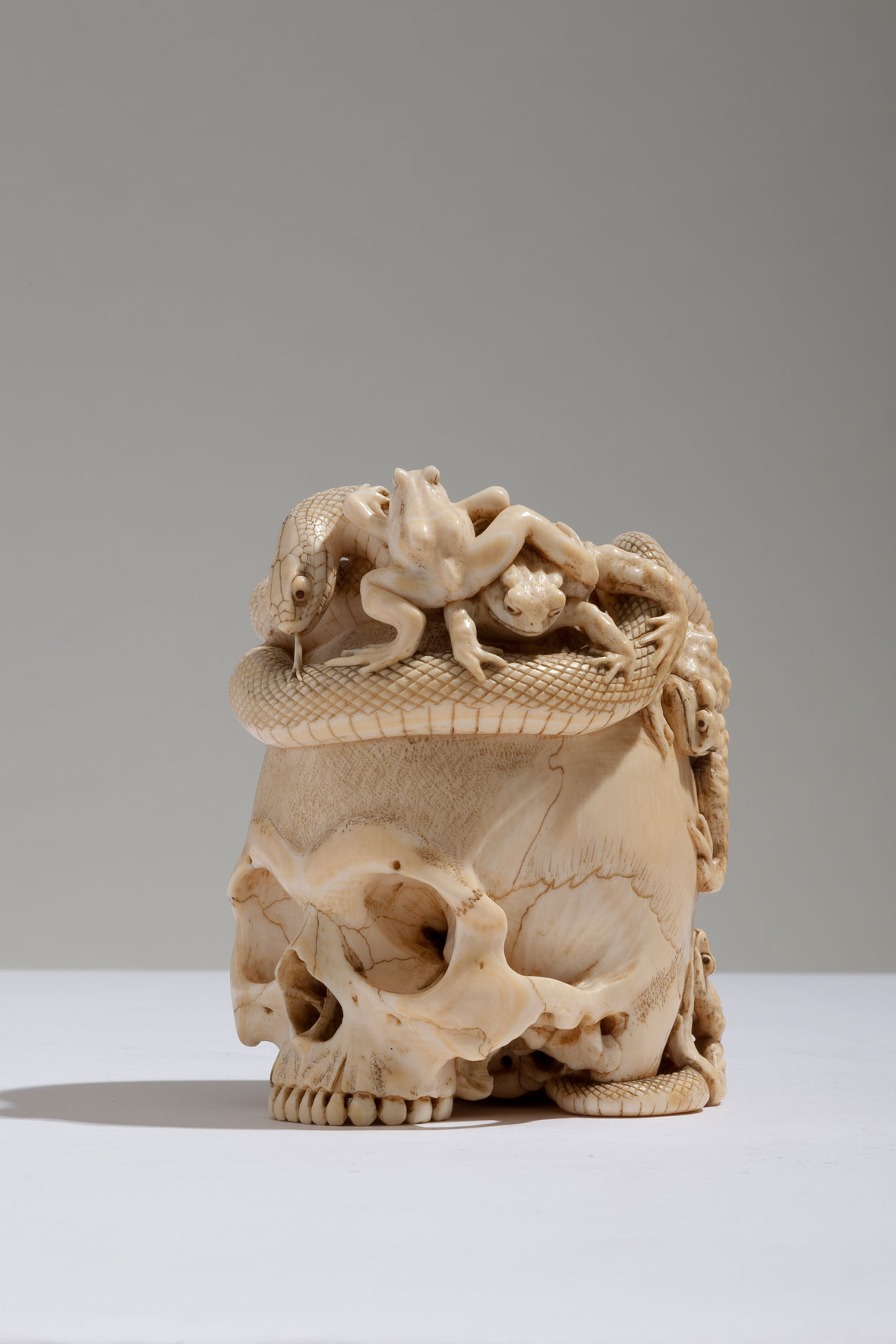 Japanese Ivory Skull with Coiled Snake and Toads